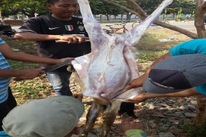 WhatsApp Image 2017-09-04 at 17.24.07