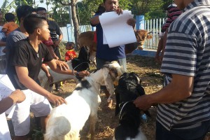 WhatsApp Image 2017-09-04 at 17.49.30