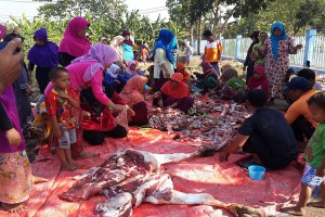 WhatsApp Image 2017-09-04 at 17.49.59