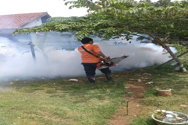 WhatsApp Image 2017-10-08 at 11.48.04