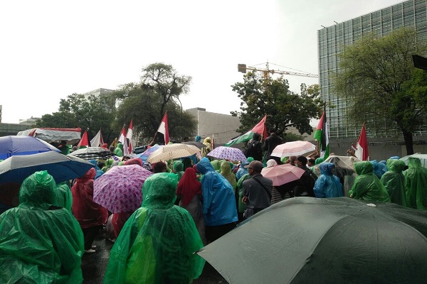 WhatsApp Image 2017-12-13 at 00.28.47