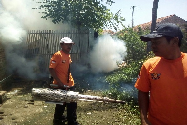 WhatsApp Image 2018-04-01 at 19.10.16