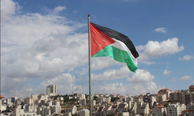 Menyuarakan Hak Konstitusional Palestina: Perjuangan, Tantangan, dan Diplomasi Internasional