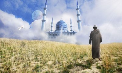 Mengapa Kita Tidak Menyukai Kematian