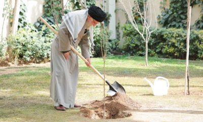 Bersama Imam Ali Khamenei, Menanam Pohon untuk Kehidupan Lebih Baik